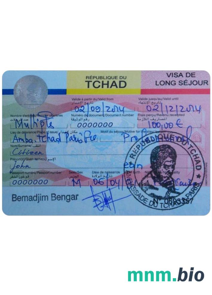 Chad visa w pełni edytowalny PSD